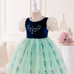Elegant Blue and Green Embroidered Dress